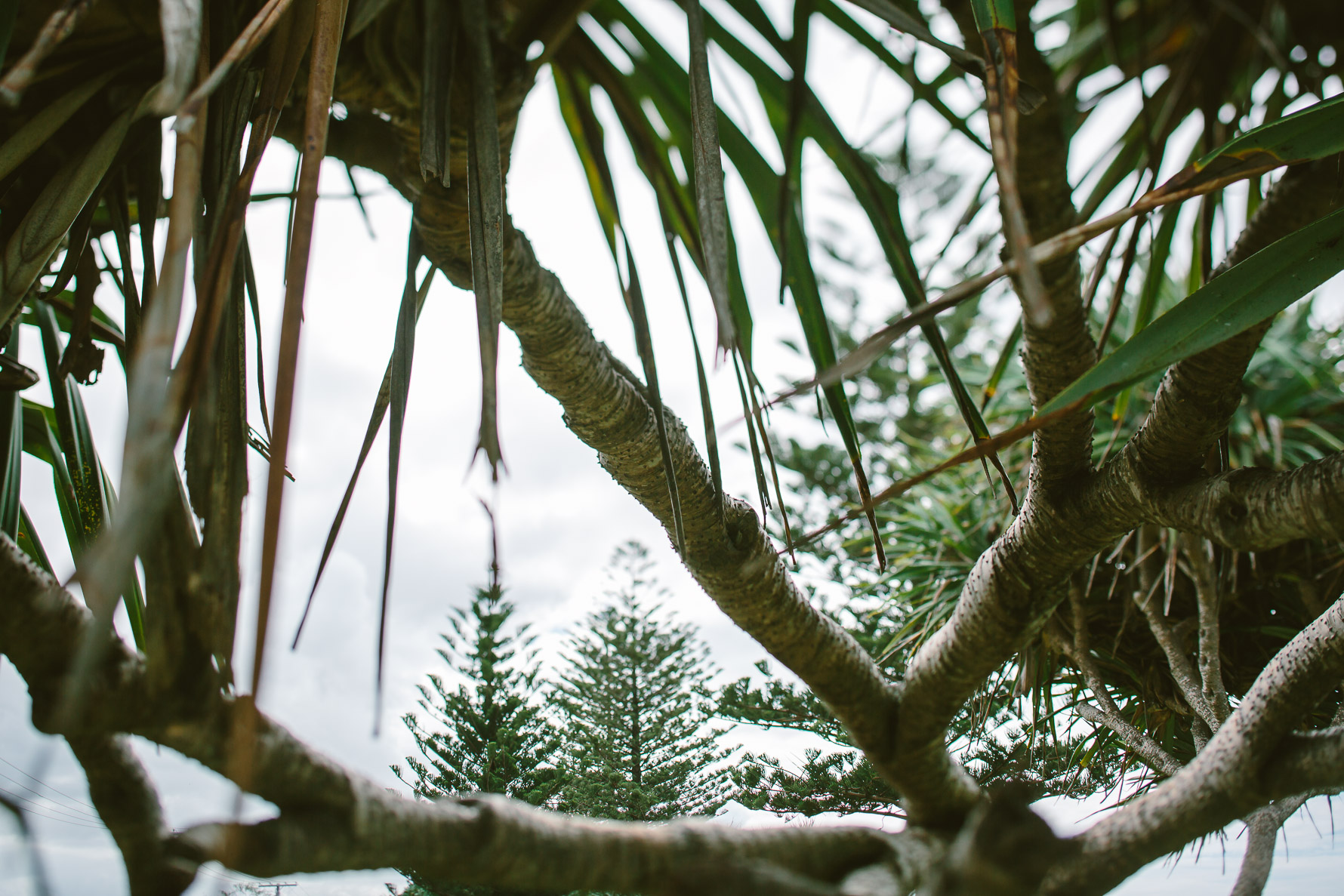 Emma & Nick Wedding_Web-7122